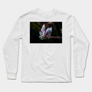 Kangaroo Paw Flower Long Sleeve T-Shirt